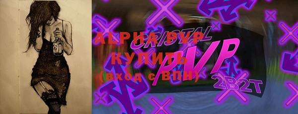 прущие грибы Богданович