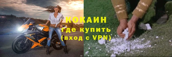 прущие грибы Богданович
