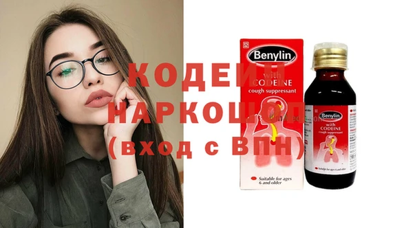 шишки Богородицк