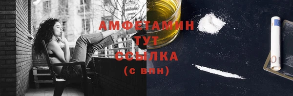шишки Богородицк