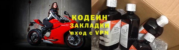 шишки Богородицк