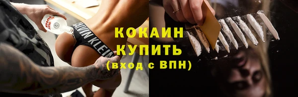 прущие грибы Богданович