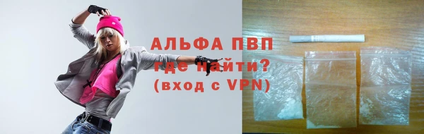 индика Белоозёрский