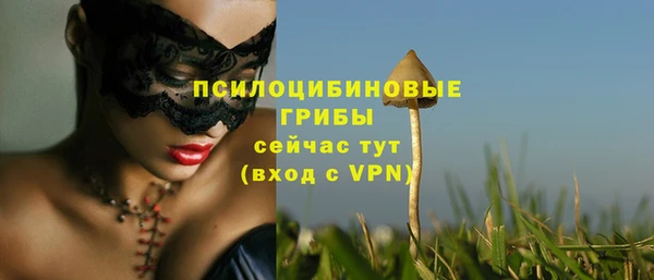 прущие грибы Богданович