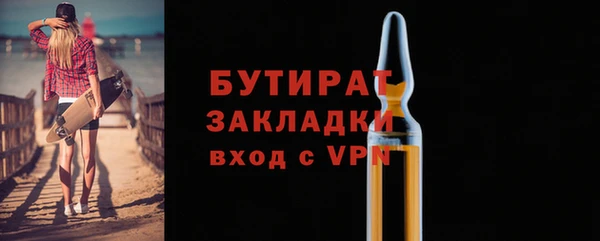 прущие грибы Богданович
