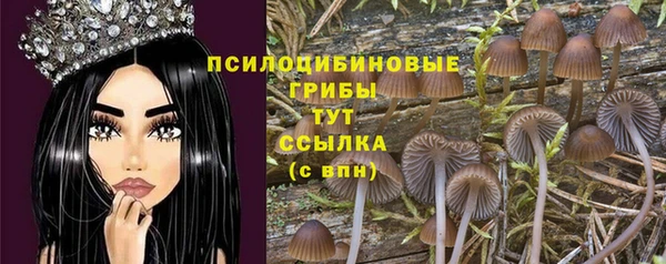 шишки Богородицк