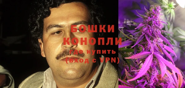 шишки Богородицк